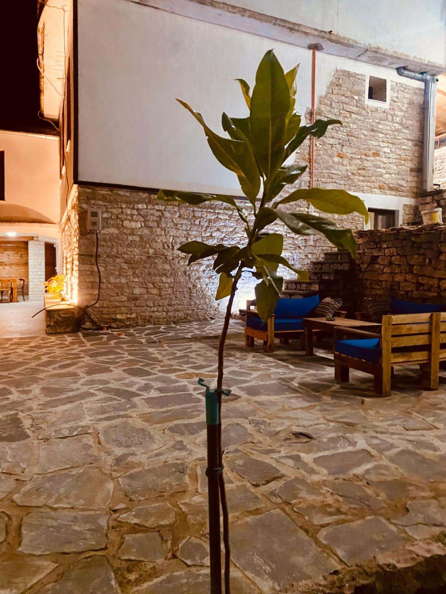 Vila ERI Gjirokastër Exterior foto